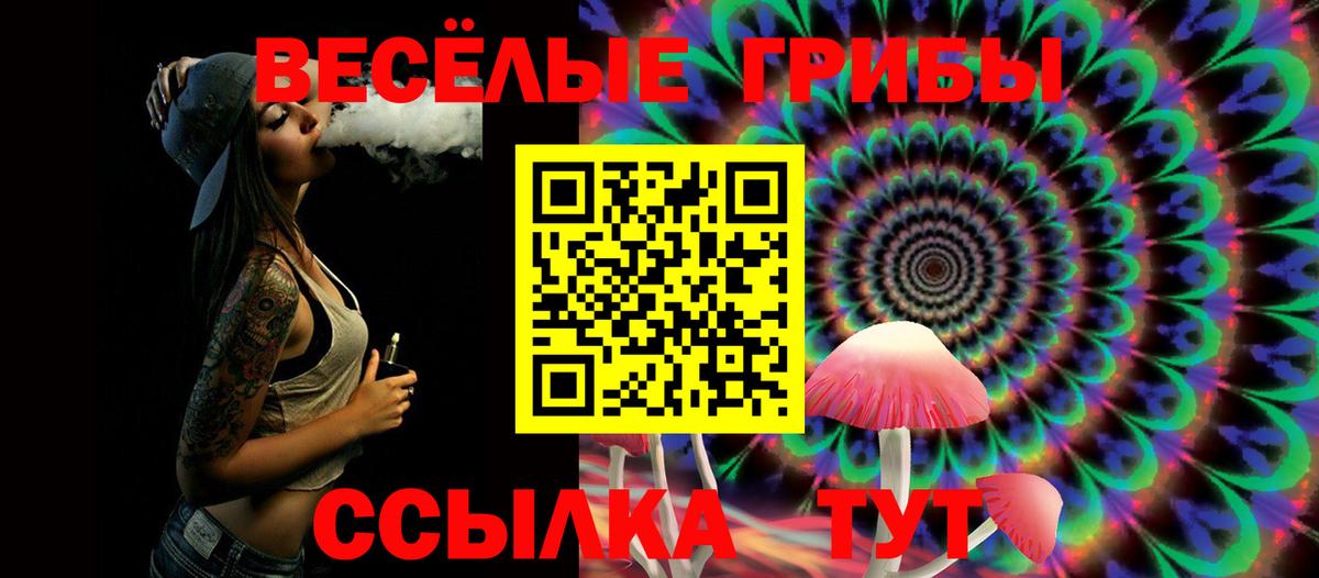 Галлюциногенные грибы Psilocybine cubensis Стрежевой